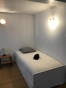 eine schwarze Katze, die auf einem Bett in einem Zimmer liegt in der Unterkunft Maison traditionnelle en pierre - Penn'ti in Cancale + 41 Fotos