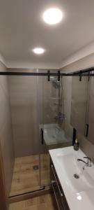 un bagno con doccia in vetro e lavandino di Senamiesčio butas a Klaipėda