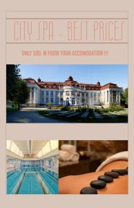 Apartment Ivana - free parking في كارلوفي فاري: صورة مجمعة من صورتين لقصر