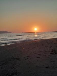 Naturlandskabet i nærheden af pensionatet