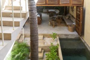 a palm tree in front of a house with a pool at Casa Palmeras 1 - Amazing Beach House in Brisas de Zicatela