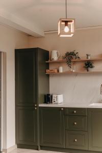 a kitchen with green cabinets and a sink at Crossroads Cabin in Sălişte
