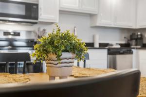 a potted plant sitting on a table in a kitchen at Poolside Near the Landing For 2 in Branson