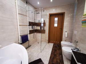 ein Badezimmer mit Dusche, Toilette und Waschbecken in der Unterkunft Familijne Zacisze in Mienzebrosche + 18 Fotos