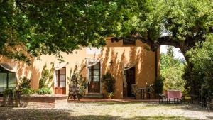 a house with a tree in front of it at Ripa D'Era in Capannoli