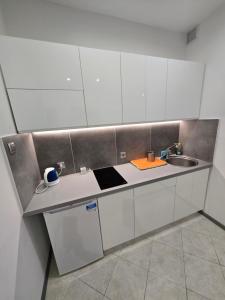 Kuchnia lub aneks kuchenny w obiekcie Artel Villa Tarsis
