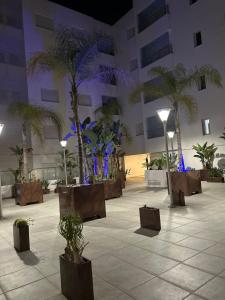 a courtyard with palm trees and lights in a building at Luxurious apartment Lina in Hiboun