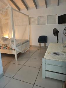 un dormitorio con una cama con mosquitera en Trois Ilets Studio EDEN VILLAGE, en Les Trois-Îlets