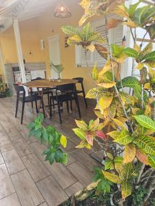 comedor con mesa y planta en Trois Ilets Studio EDEN VILLAGE, en Les Trois-Îlets