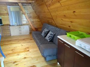 a living room with a couch in a cabin at Domek letniskowy "BRDA" - Ostoja Ślesin in Półwiosek Stary