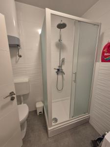 a bathroom with a shower and a toilet at Šućur holiday home in Preko +26 photos