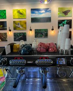 Fotografia z galérie ubytovania Sunbird Apartman Budapest v Budapešti