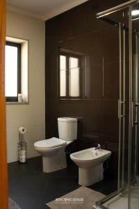 a bathroom with a toilet and a sink at Casa da Portelinha in Castelo de Paiva