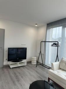 Una sala de estar con un televisor de pantalla plana grande. en Charming apartment near the airport, en Langenhagen