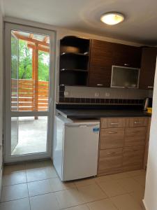 Η κουζίνα ή μικρή κουζίνα στο Apartmán pri Jazere