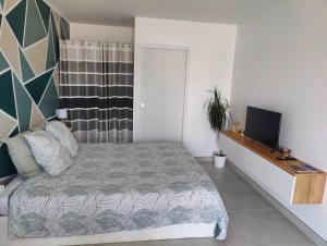 a bedroom with a bed and a television in it at Studio cosy proche des vignes in Roubia
