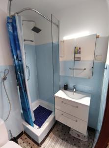 a bathroom with a shower and a sink at Ferienwohnung - Glockenbergtraum - im schönen Harz, 2 Zimmer mit Südbalkon in Altenau