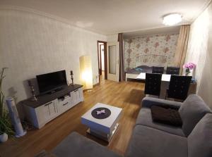 a living room with a couch and a tv and a bed at Ferienwohnung - Glockenbergtraum - im schönen Harz, 2 Zimmer mit Südbalkon in Altenau