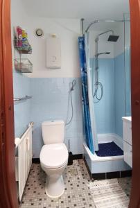 a bathroom with a toilet and a shower at Ferienwohnung - Glockenbergtraum - im schönen Harz, 2 Zimmer mit Südbalkon in Altenau +12 photos