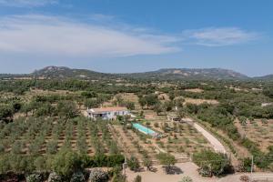 Příroda nedaleko vily