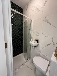 a bathroom with a shower and a toilet and a sink at Harbour Mill Cottage in Annalong