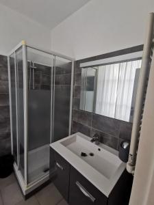 a bathroom with a shower and a white sink at Le Central Studio in Marseille