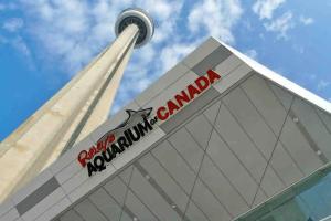 Gallery image of Cozy Downtown 1BR Den Free Parking near CN Tower in Toronto +28 photos