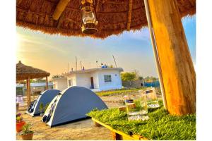 Fotografie z fotogalerie ubytování Zero Clock Mangrove Resort v destinaci Bāsanti