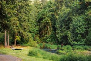 a boat sitting in the grass next to a river at Creekside Retreat at Triangle Lake in Blachly