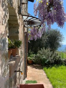 Φωτογραφία από το άλμπουμ του Tuscan Country House - Capanna dei muli σε Regnano
