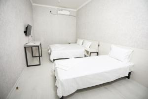 泰尔梅兹City hostel的相册照片