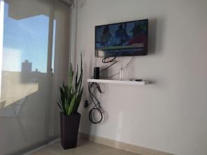 a tv on a wall in a room with a plant at Departamento macrocentro Santa Fe in Santa Fe