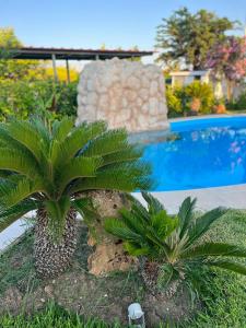 Bazén v ubytování Palm Nest Villa with private pool in Chalkidiki nebo v jeho okolí