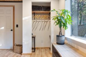 una planta sentada en una mesa en una habitación con ventana en Cascade Dream, en Nevada City 67 fotos más