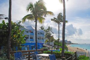 Creek VillageにあるParadise Island Beach Clubのヤシの木と椅子が並ぶビーチと建物