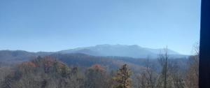 ガトリンバーグにあるGreat View Location Studio Log Cabin Hot Tubの山々を背景にした森の景色