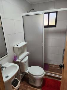 a bathroom with a toilet and a sink and a shower at Cabaña para 4 personas - Cabin for 4 people in Pinto
