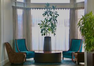 Posezení v ubytování Copthorne Hotel Palmerston North