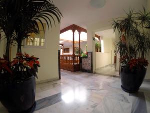Lobby alebo recepcia v ubytovaní Apartamentos Tapahuga