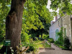 a tree in a garden next to a building at Maison 8 min du Zoo de Beauval, jardin, cheminée, tout inclus, proche Châteaux de la Loire - FR-1-491-429 in Châteauvieux
