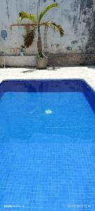 アカプルコにあるHabitación seca de la quebradaのヤシの木を背景にした青いスイミングプール