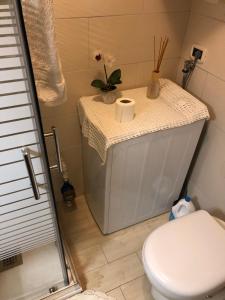 a bathroom with a white toilet and a sink at Casa Solidea in Moena