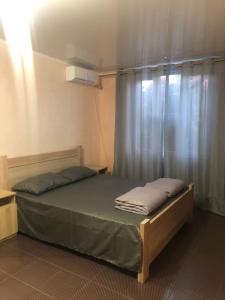 a bedroom with a bed with a curtain and a window at Людмила in Chornomorsk