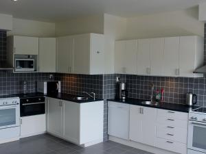 Kuchyň nebo kuchyňský kout v ubytování Fenix Inn