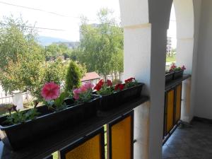 Balkón nebo terasa v ubytování Guest House Marketti
