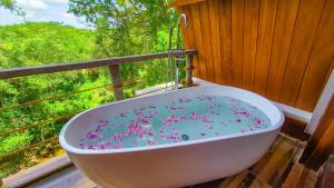 Fotografie z fotogalerie ubytování Wilpattu Safari Resort v destinaci Nochchiyagama