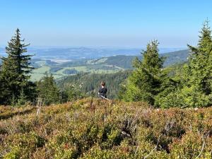 Gallery image of Apartmama Lipová in Lipova Lazne +30 photos