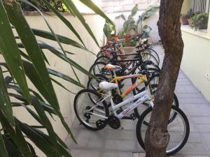 a row of bikes parked next to a tree at Casa Noemi b&b in Uggiano la Chiesa