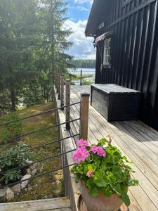 Ảnh trong thư viện ảnh của Stuga med sjöutsikt och egen brygga! 