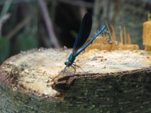 Afbeelding uit fotogalerij van Etxeberri Landa Etxea in Régil +33 foto's